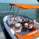 bluestarboat-sunreider-electric10sd